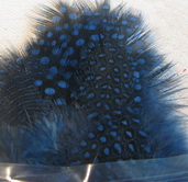 ����� ������� quinea hackle  royal blue N. Spirit